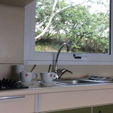 Camping Le Soline Casciano Di Murlo الغرفة الصورة