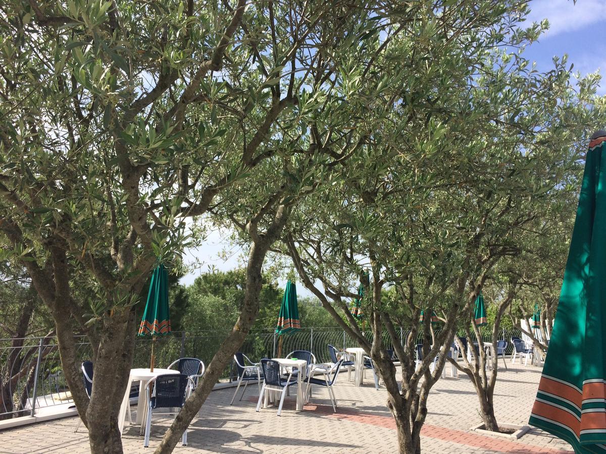 Camping Le Soline Casciano Di Murlo المظهر الخارجي الصورة