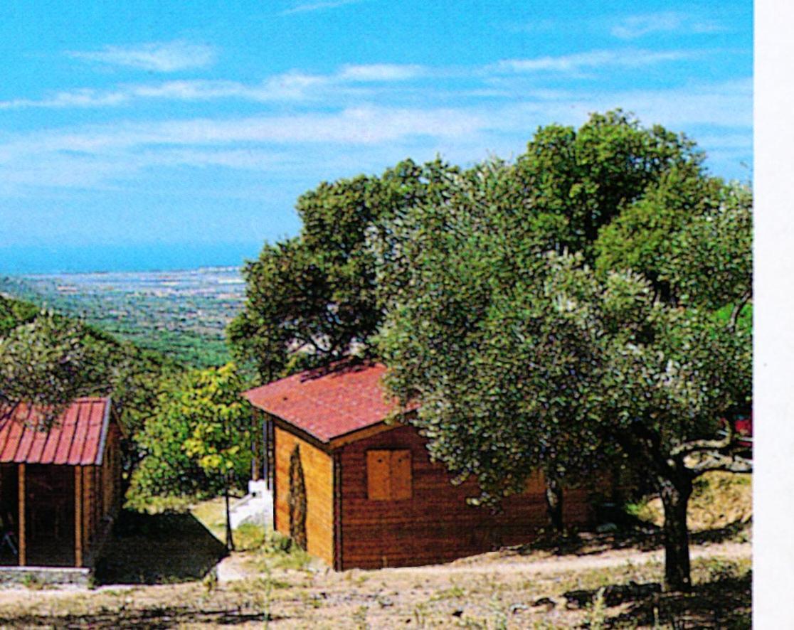 Camping Le Soline Casciano Di Murlo المظهر الخارجي الصورة